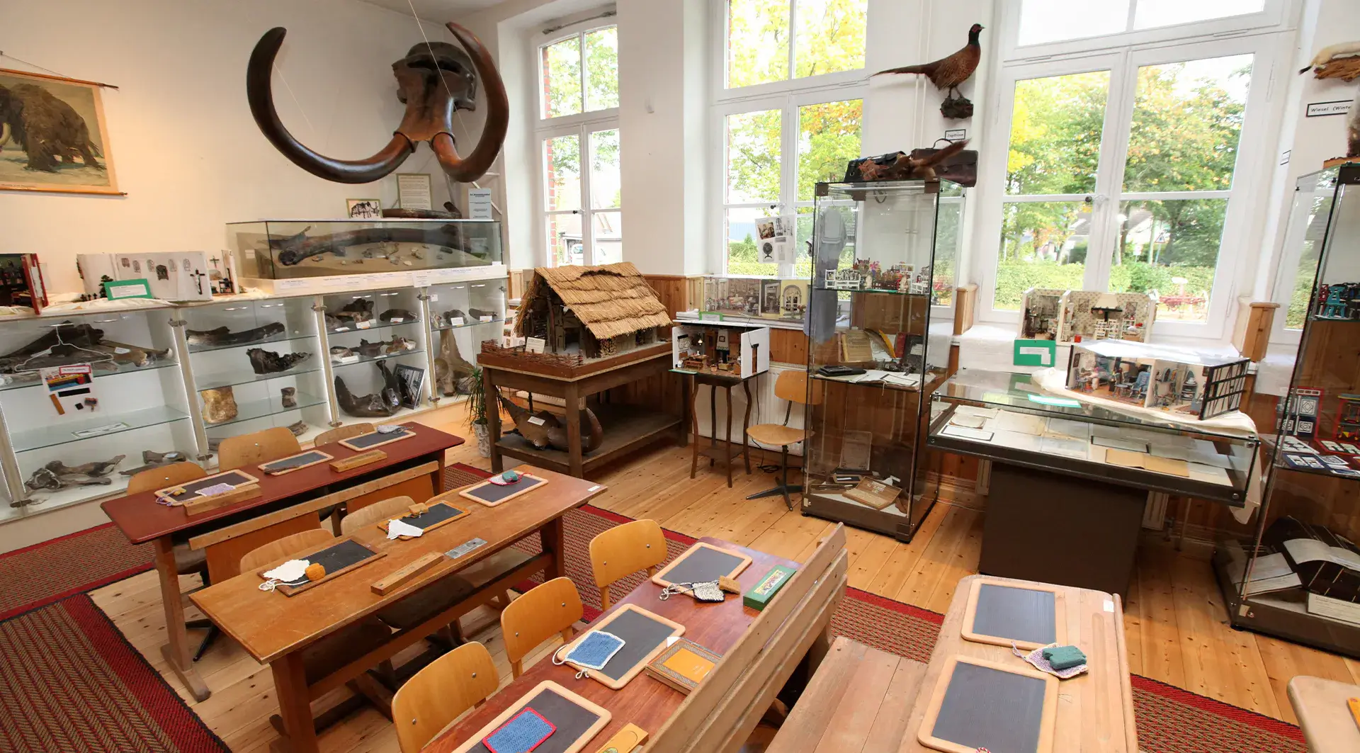 Blick in das Heimatmuseum des Heimatvereins Hünxe. In der ehemaligen Bergschule stechen die in der Lippe gefundenen Mammutzähne besonders hervor.